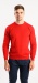 Red cotton crewneck